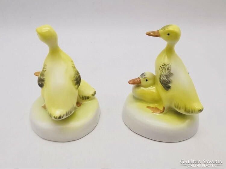 Aquincum porcelain ducks