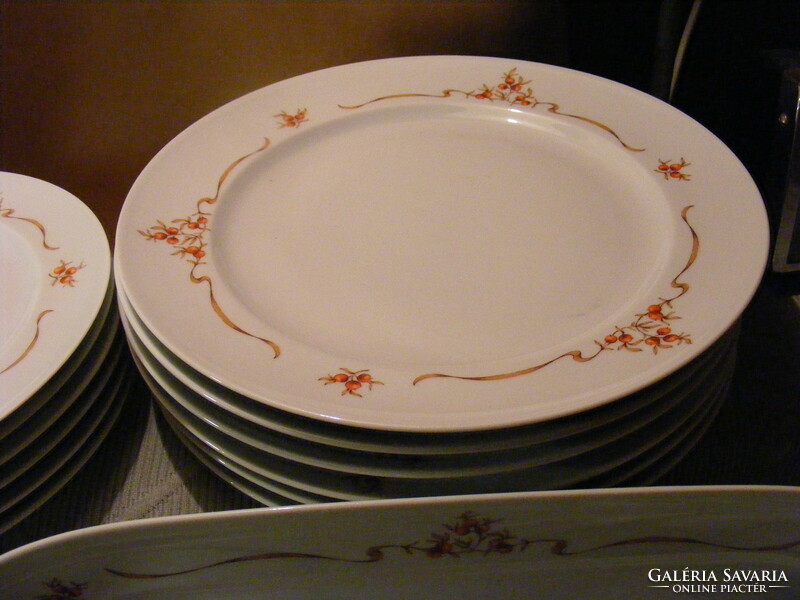 6 Personal lowland rosehip 21-piece tableware
