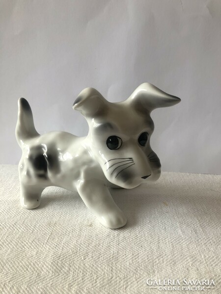 Aranyos kutyus porcelán