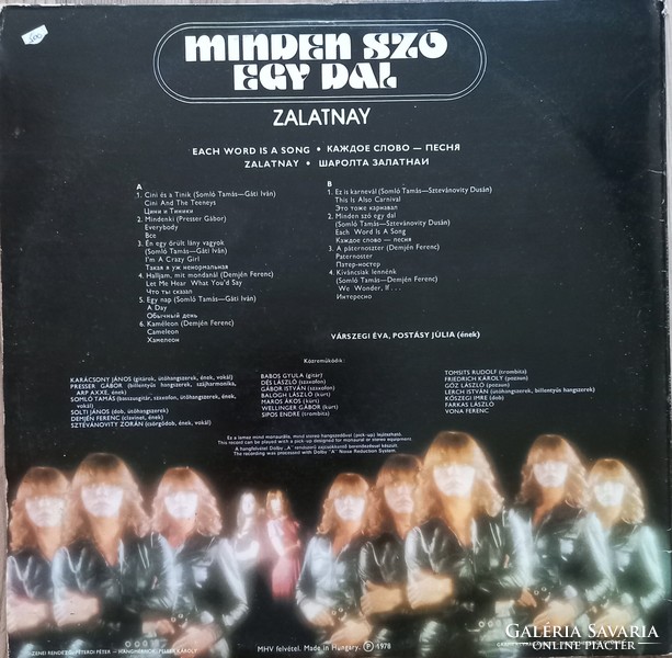 Zalatnay cornered.. Vinyl record