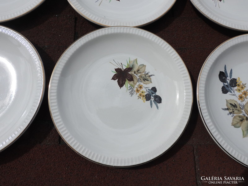 Set of 6 plates with autumn patterns