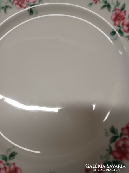 Retro lowland porcelain plates 10 pieces in one