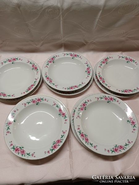 Retro lowland porcelain plates 10 pieces in one