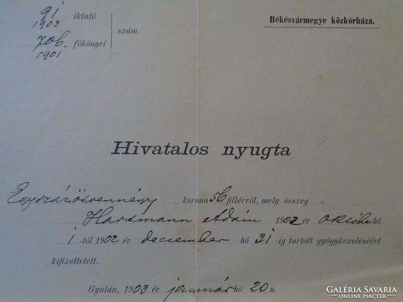 Za433.7 Official receipt Gyula - 154 kroner medical treatment - Békés county public hospital 1903