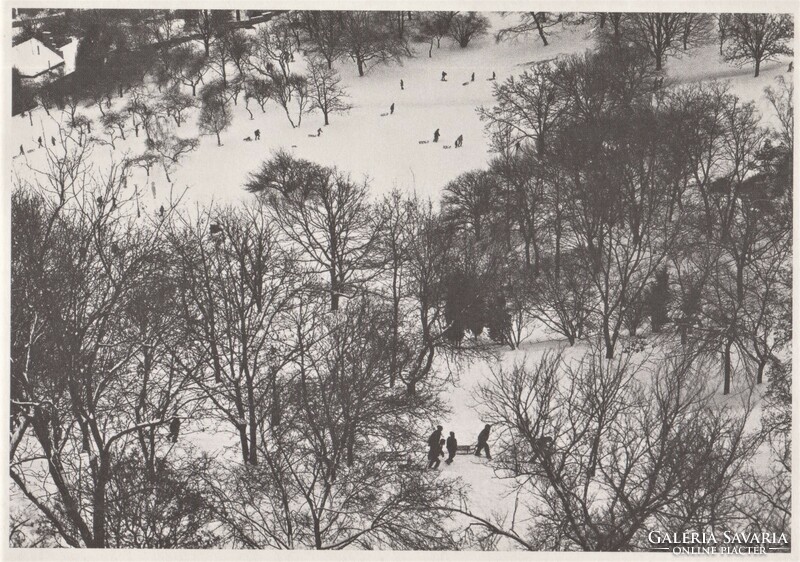 Bruno Bourel: The First Snow (postcard)