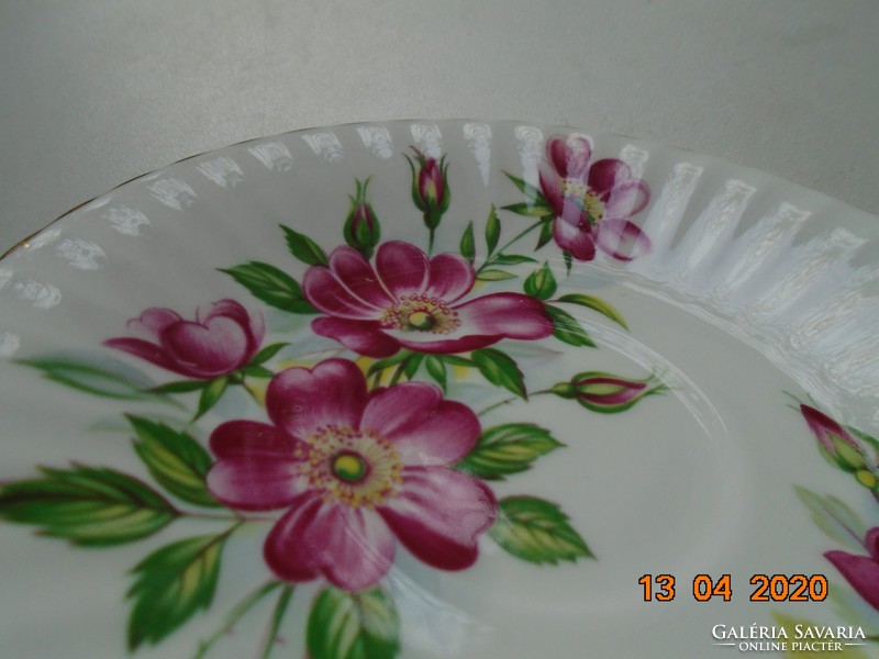 Paragon,látványos vadrózsás bordázott  porcelán tányér,az Angol Királynő ajánlatával
