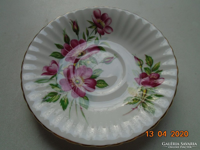 Paragon,látványos vadrózsás bordázott  porcelán tányér,az Angol Királynő ajánlatával