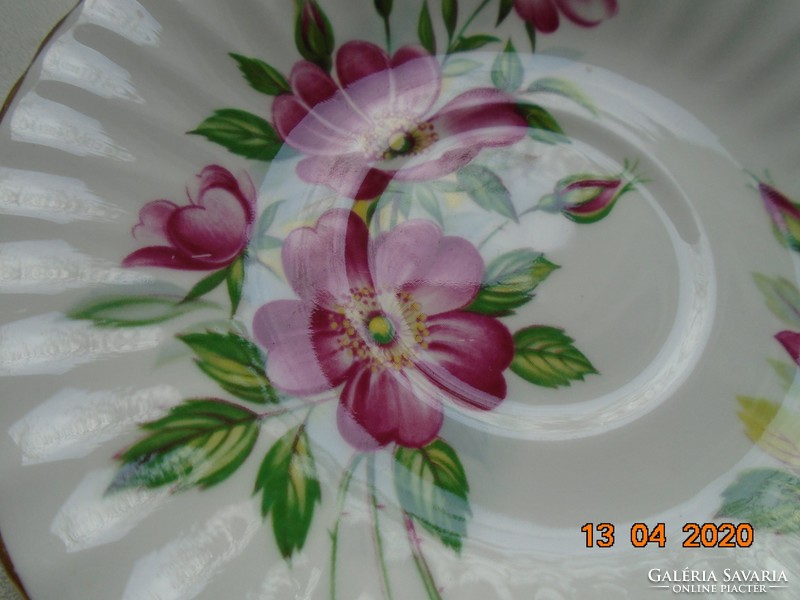 Paragon, spectacular wild rose ribbed porcelain plate, offered by the Queen of England