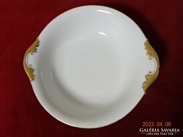 Bohemia Czechoslovak porcelain, antique garnish bowl, diameter 25.5 cm. Jokai.