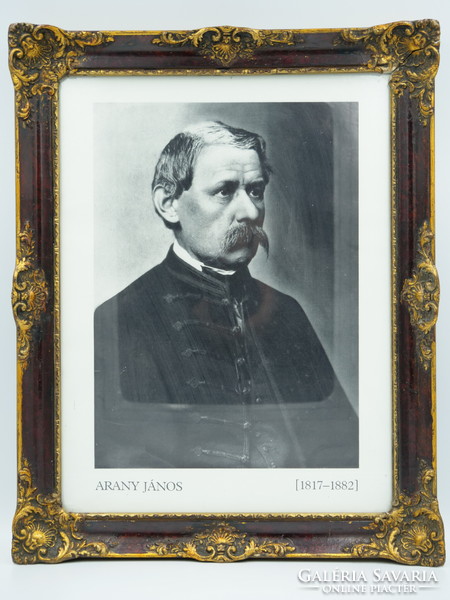 A photo depicting Janos Arany in a decorative carved frame