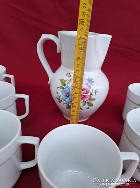 Beautiful lowland porcelain 6 mugs + pitcher mugs tea mug