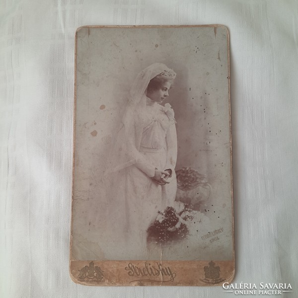 Strelisky photo /hard back, 13 x 21 cm/ 1901