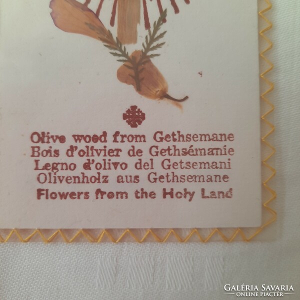 Flowers from the holy land Olive tree flower from Gethsemane souvenir 1988