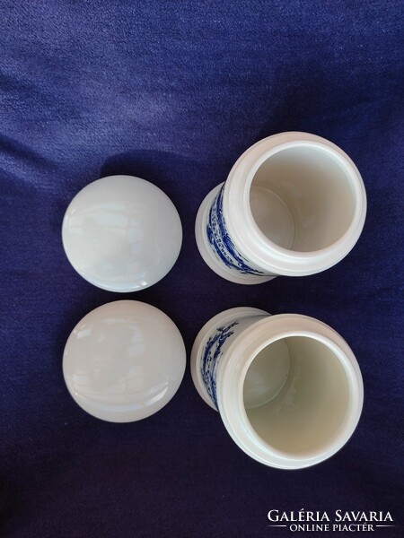 Special Dutch-Elmex porcelain apothecary jar 2 pcs