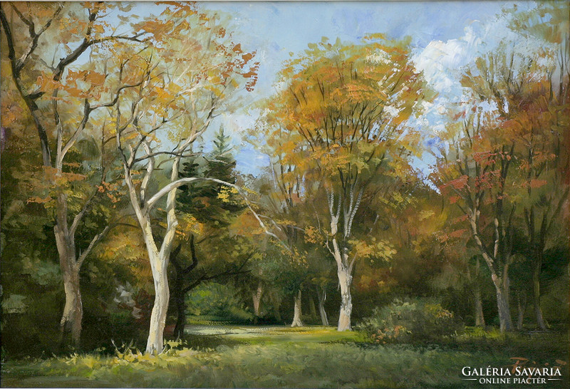 Zoltán Rajczi: Autumn grove - with frame 47x62 cm - artwork: 35x50cm - 1810/438
