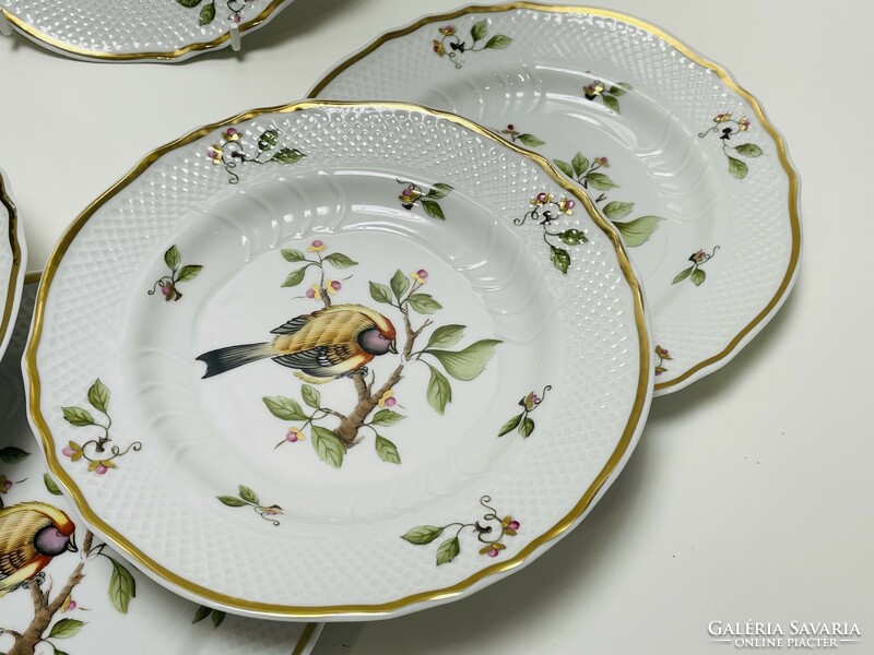 New! Raven House bird plates