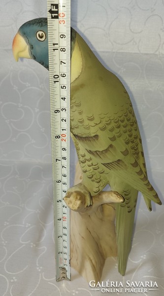 Large royal dux parrot