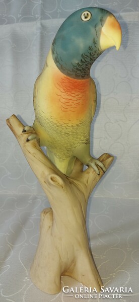 Large royal dux parrot
