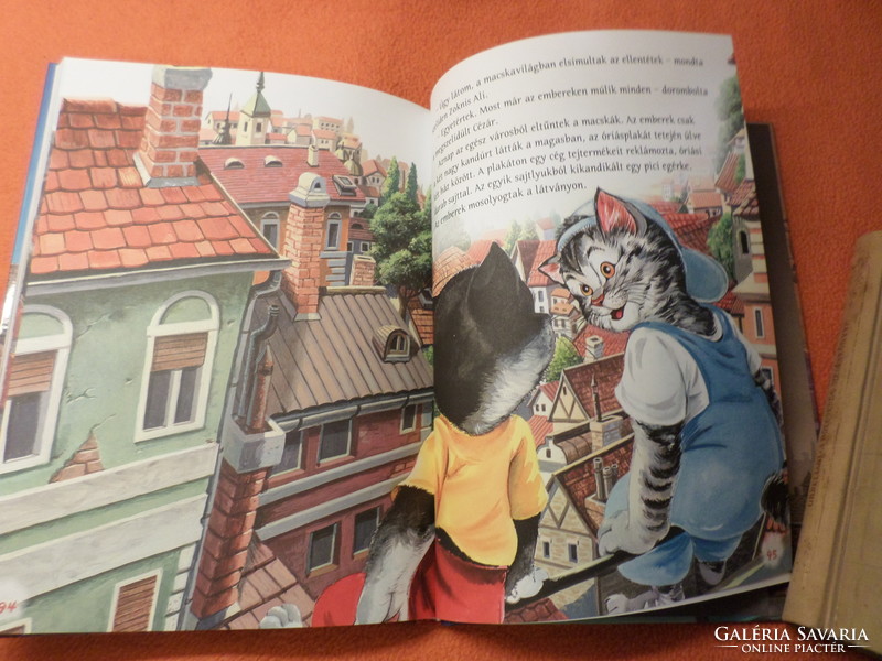 Tibor Tamás' cat adventure in the city, 2015