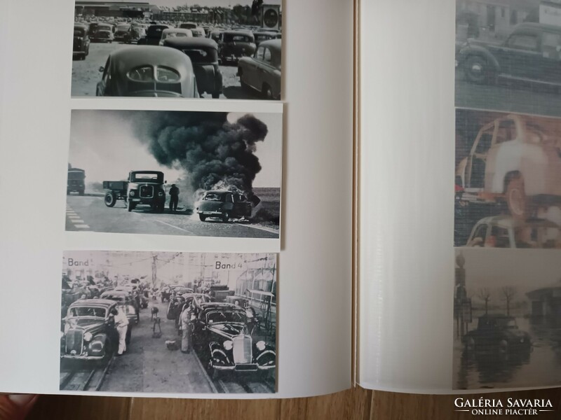 A collection of 300 car photos