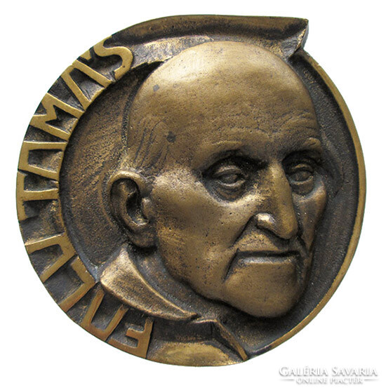 Tamás Falu /1881-1977, lawyer, poet and novelist/ plaque