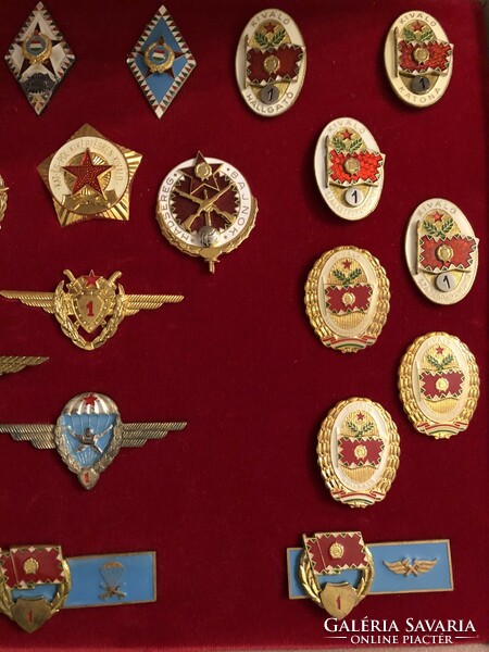 Badges of the Hungarian People's Army in a gift box