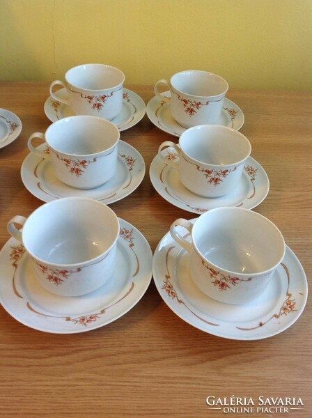 Alföldi porcelain with rosehip pattern - 6-piece tea cup + saucer