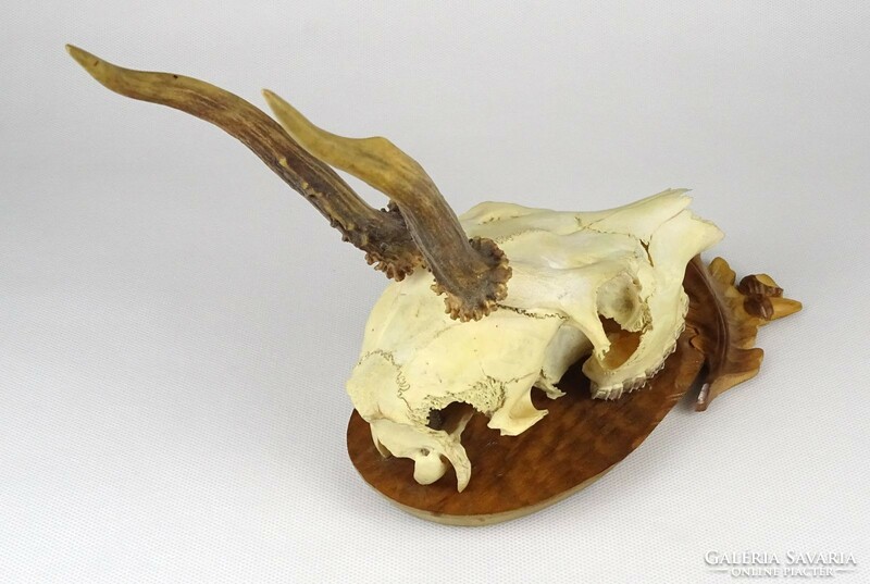 1M633 deer trophy antlers on a carved wooden plinth