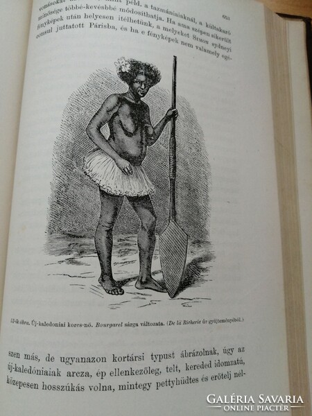 Az anthropológia kézikönyve 1881