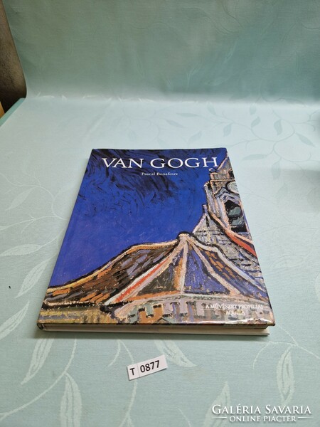 T0877 pascal bonafaux van gogh