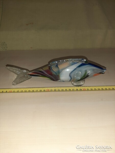 Glass fish