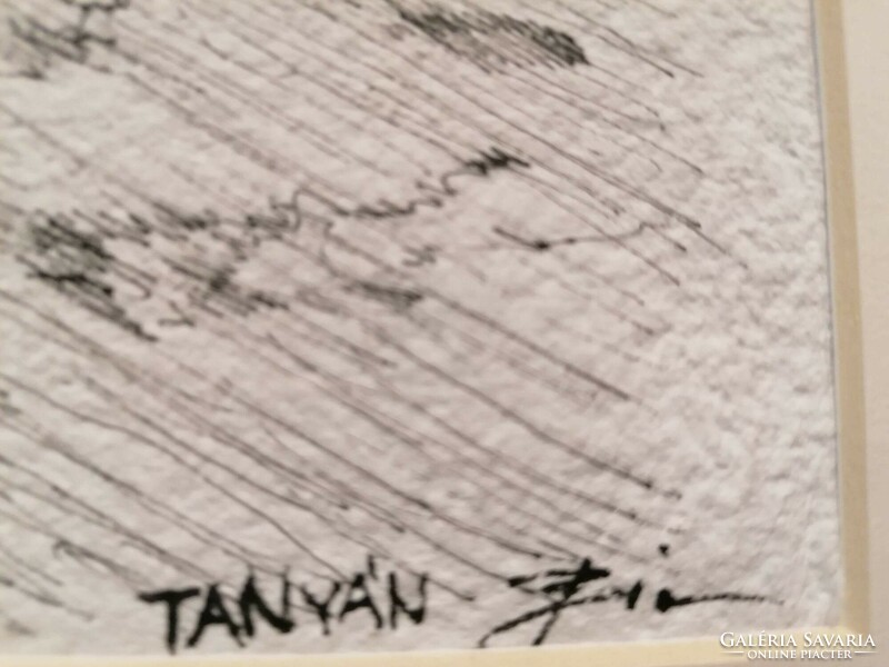 A tanyán