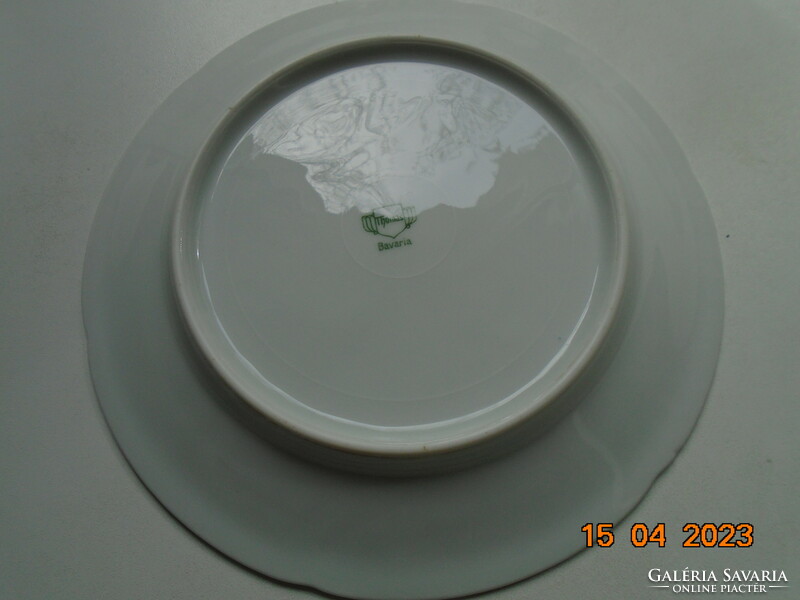 Rosenthal Thomas hand-painted unique Meissen flower pattern, empire bay leaf rim, cake plate