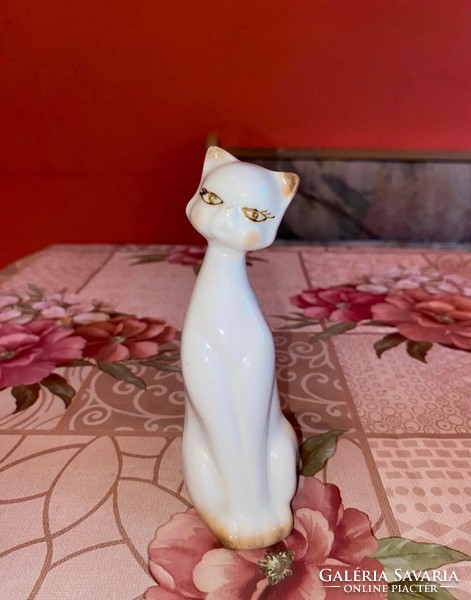 Porcelán cica