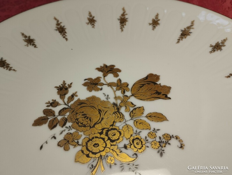 10+1 German porcelain plate