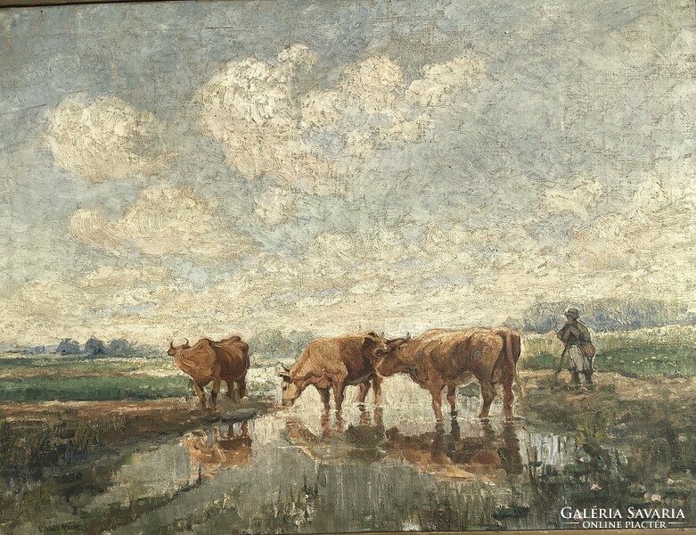 Ferenc Ujváry - watering