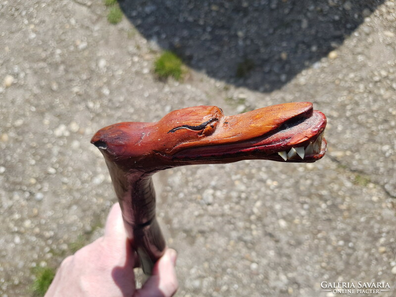 Old crocodile head walking stick