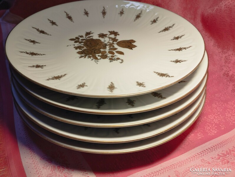 10+1 German porcelain plate