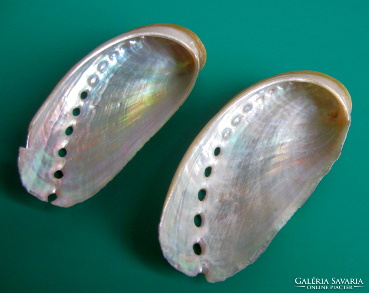 Mother-of-pearl - abalone - abalone shell - single-sided