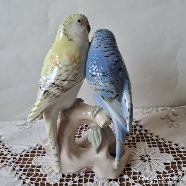 Royal dux papagály pár
