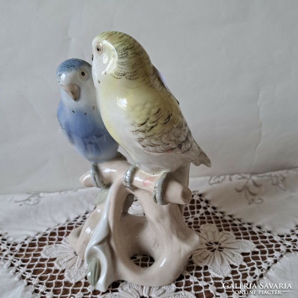 Royal dux papagály pár