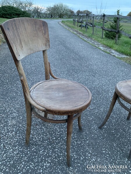 2 marked thonet chairs
