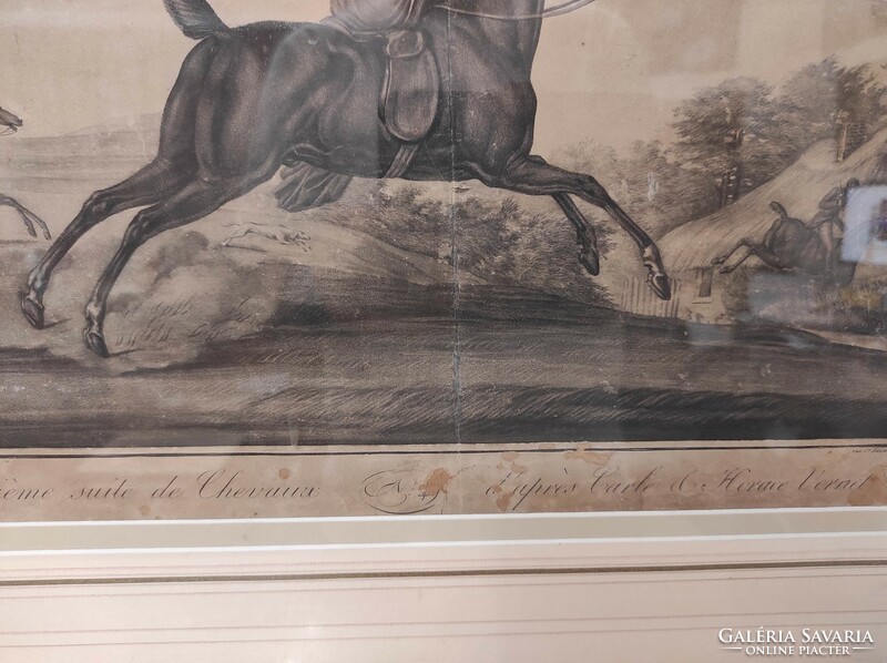 Antique French equestrian sport riding horse engraving 19th century in frame 888 7005