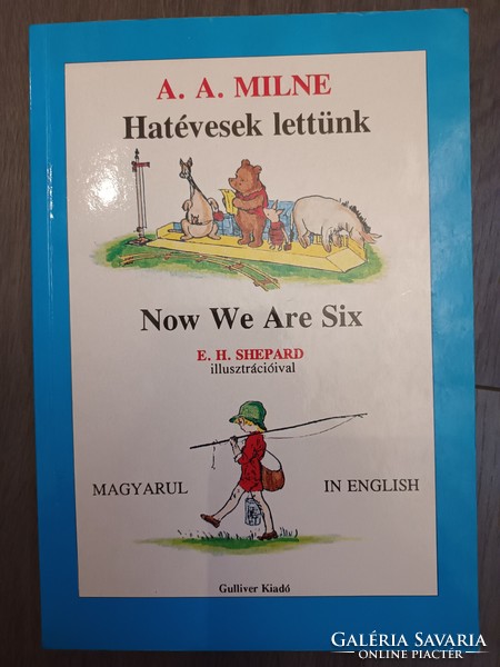 English-Hungarian teddy bear book