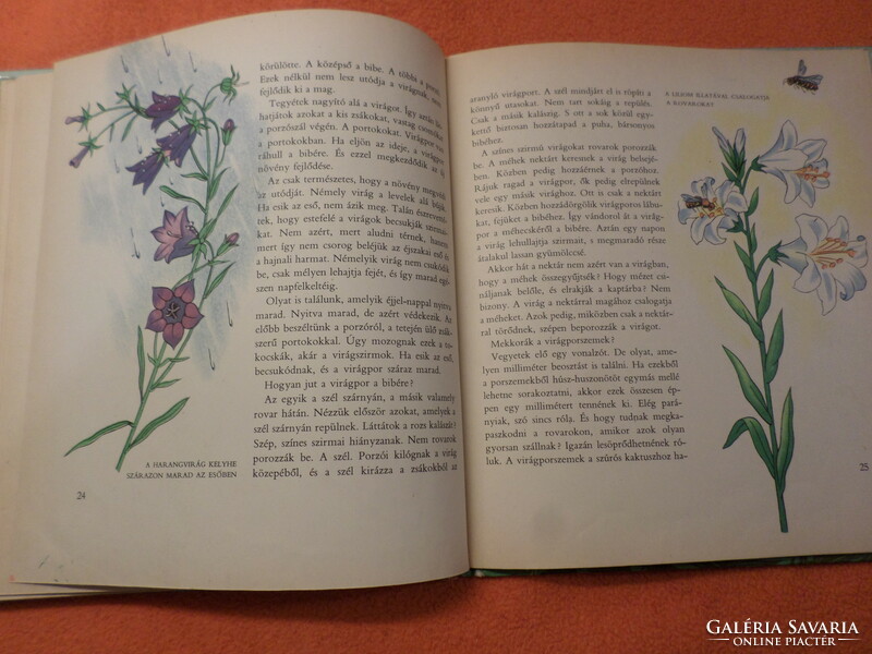 Antique! Imre Nóber's trip to plant country with the drawings of Kató Lukáts, 1964