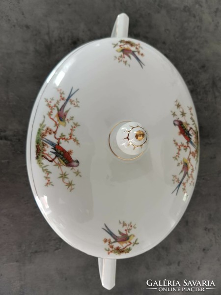 Bohemian porcelain soup bowl and sauce spout