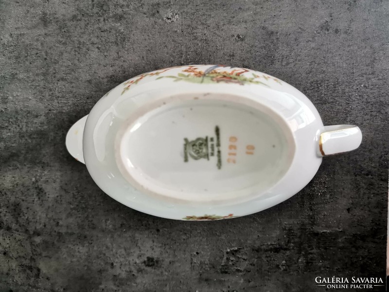 Bohemian porcelain soup bowl and sauce spout