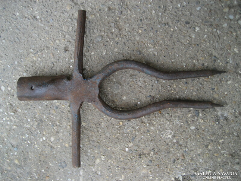 Antique wrought iron carrot picking fork