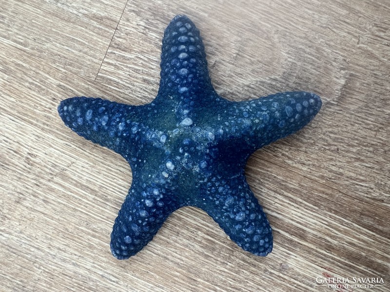 Valódi tengeri csillag preparátum