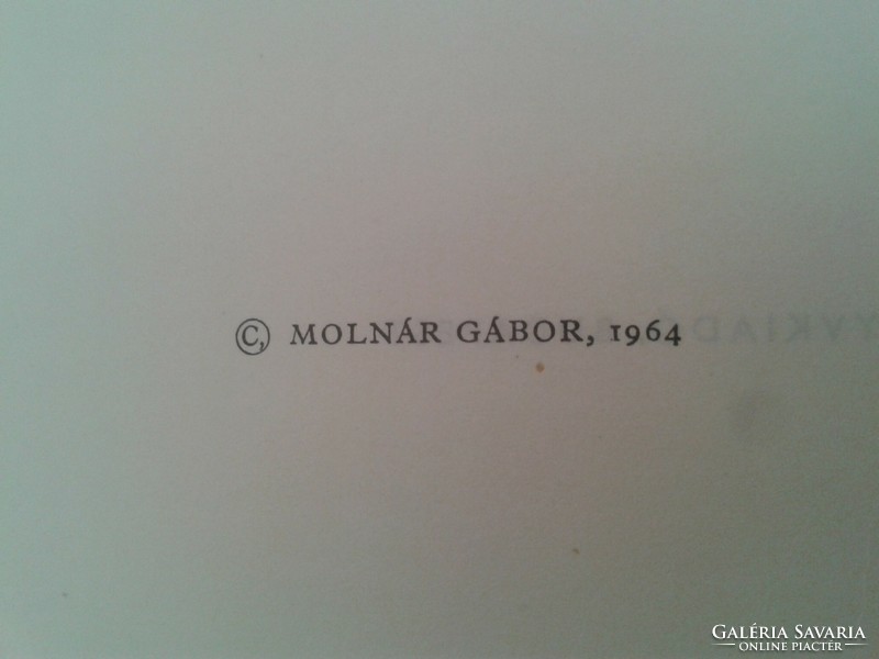 Gábor Molnár: where the path ends --1964 first edition --collectors of literary dust jacket!